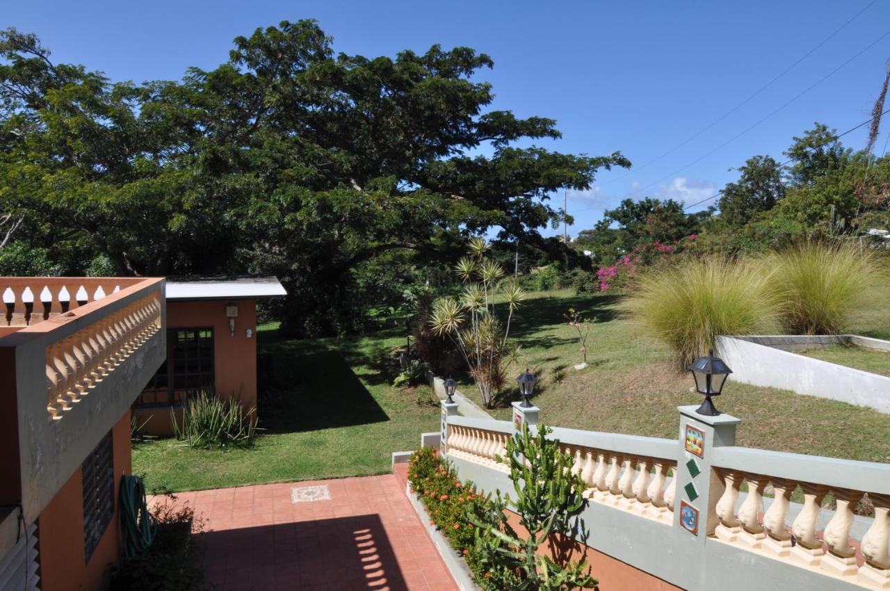 Isla Hermosa Guesthouse Vieques Eksteriør bilde